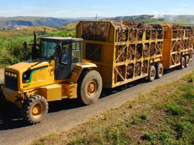 BELL Timber